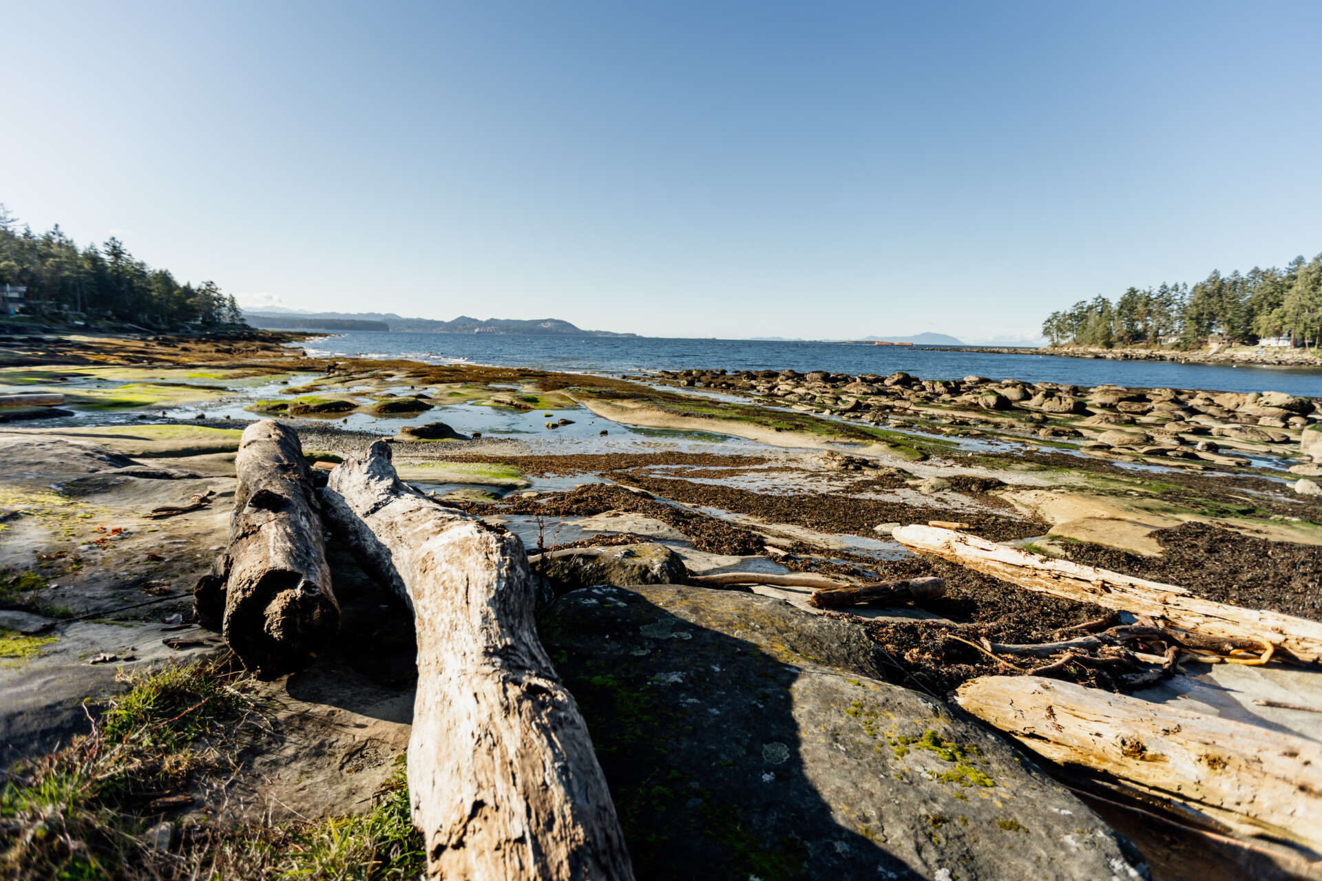 Gabriola HI Feb26 814