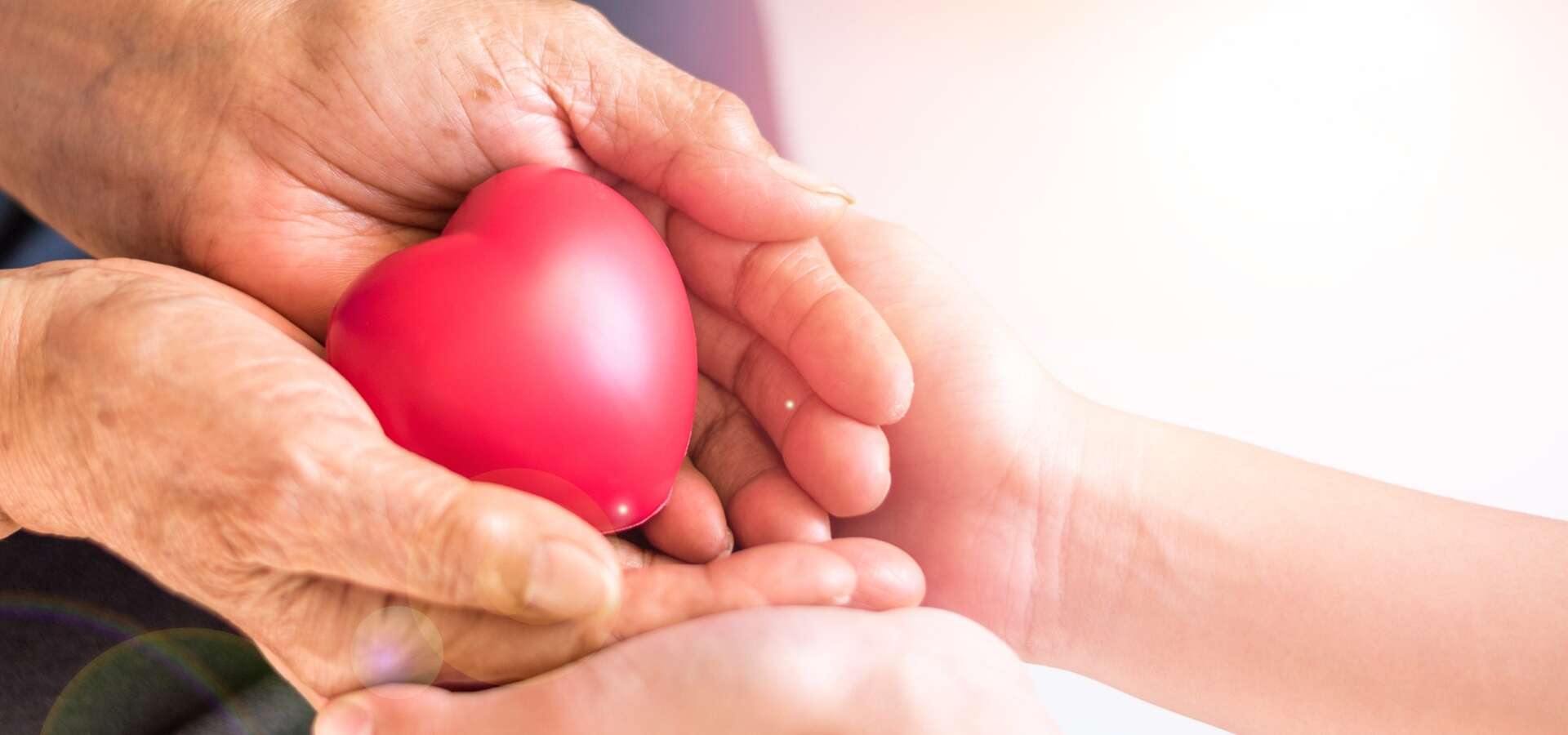 Canterbury holding hearts hero